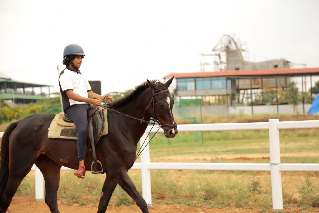 Horse Riding Training