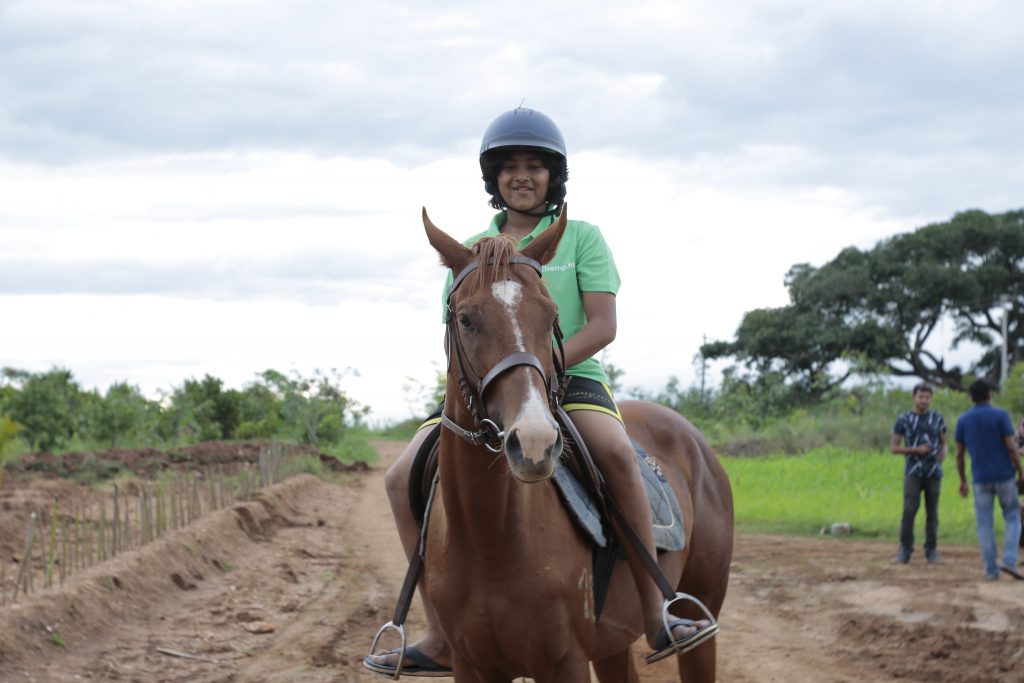 Horse Riding Training
