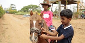 Pony Riding for Kids