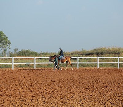 Horse-arena at champions ranch