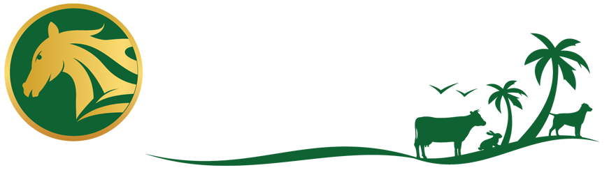 Champions Ranch